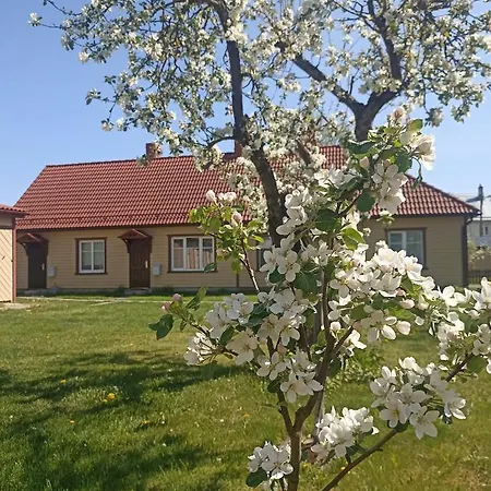 Vingi 12 شقة